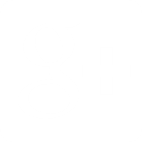 Google+ icon